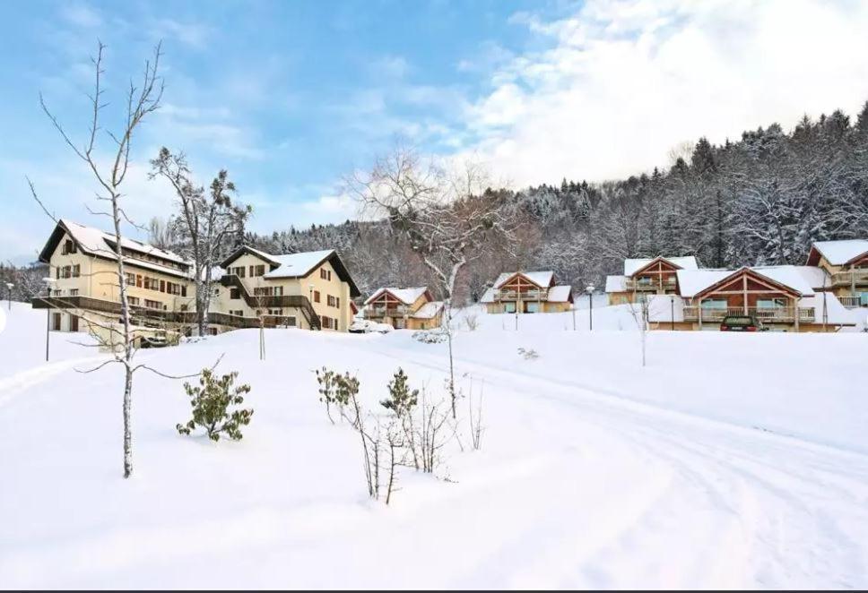 Duplex-Chalet Entre Lac Et Montagne Avec Balcon لوجْرا المظهر الخارجي الصورة